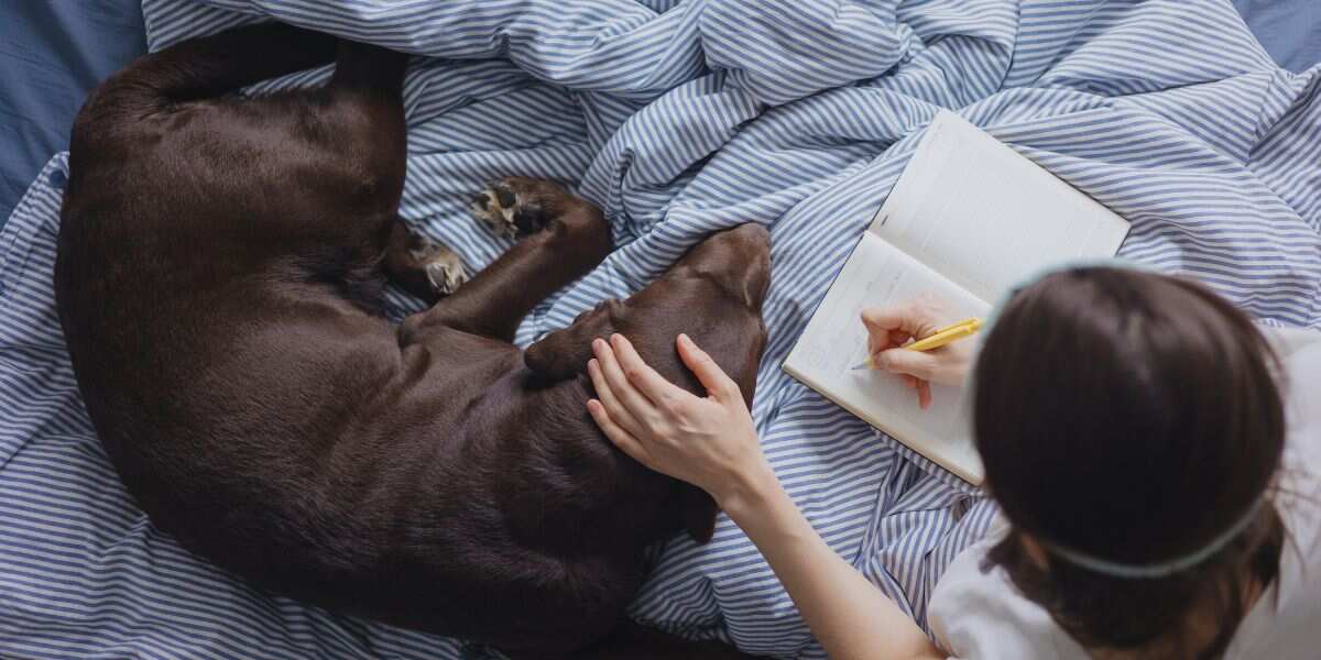 How to Build a Short, Calming Bedtime Reset in Five Simple Steps